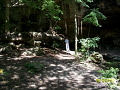   cenote sinkholecollapsed water cave this picture hours drive Progreso Yucatan Mexico. back recesses Maya shaman blessing our swim stalactite cluster visible formed last 300000 years. (sinkhole/collapsed (sinkholecollapsed (sinkhole collapsed Mexico years  